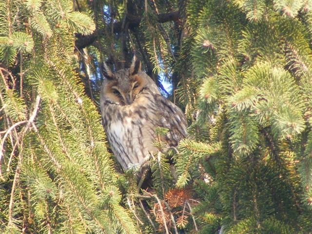 DSCF8551 (Small).JPG