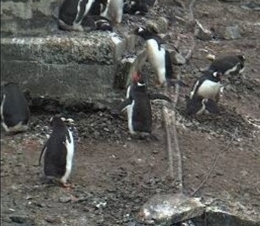 2010-01-18_233558.jpg