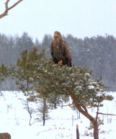 2010-01-19_154633.jpg