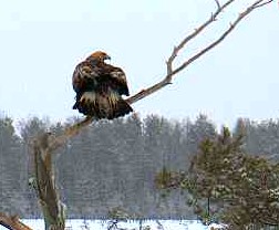 2010-01-19_154723.jpg
