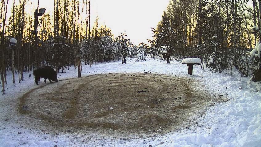 2010-01-19_151636.jpg