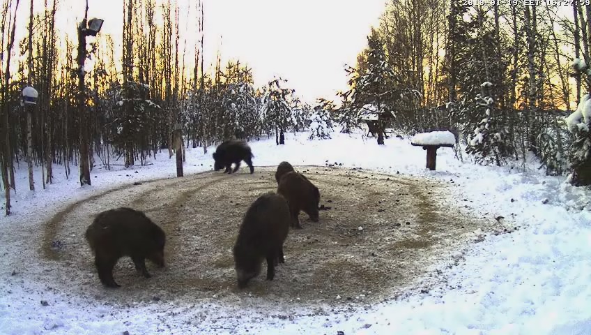 2010-01-19_152827.jpg