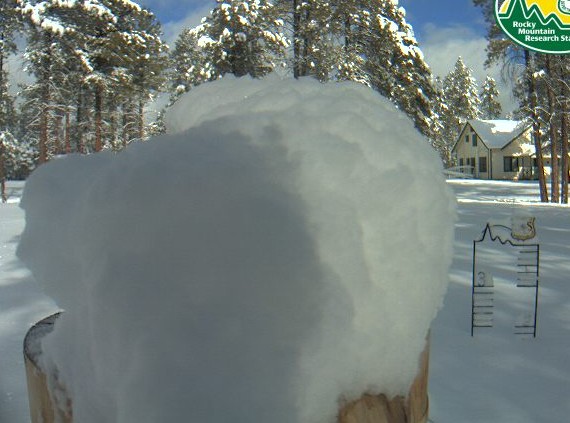 2010-01-19_183502.jpg
