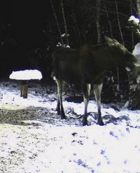 2010-01-19_212734.jpg