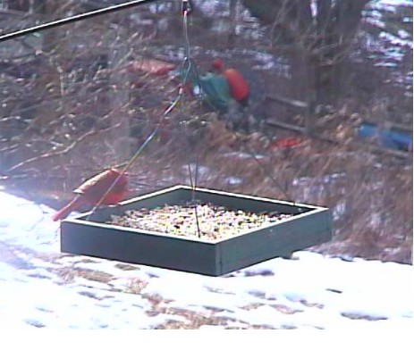 2010-01-21_211210.jpg