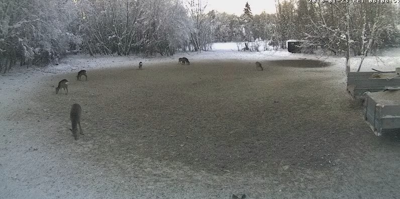 2010-01-23_071159.jpg