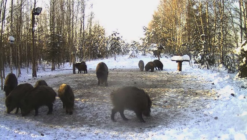 2010-01-23_131851.jpg