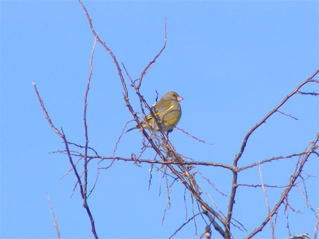 DSCF8638 (Small).JPG
