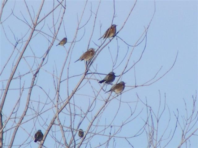 DSCF8647 (Small).JPG