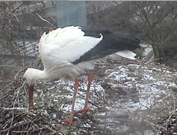 2010-01-24_114229.jpg