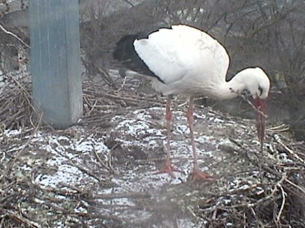 2010-01-24_114145.jpg