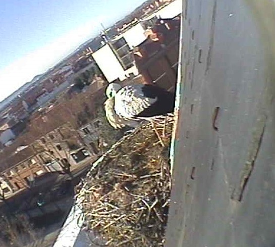 2010-01-25_101004.jpg