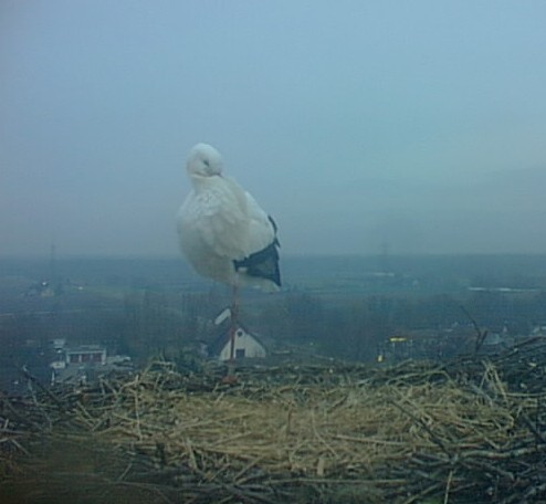 2010-01-25_101106.jpg