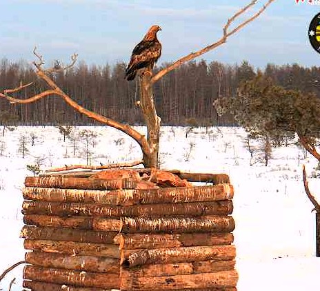2010-01-25_162958.jpg