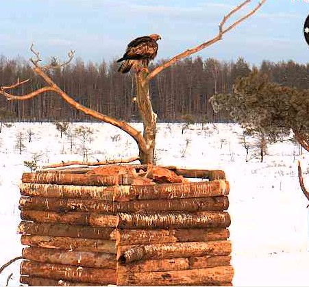 2010-01-25_162936.jpg