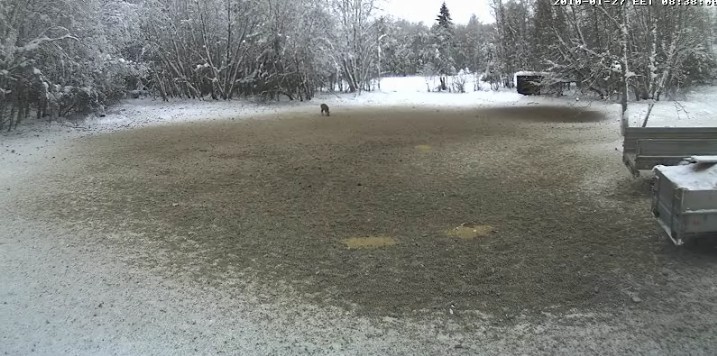 2010-01-27_074243.jpg