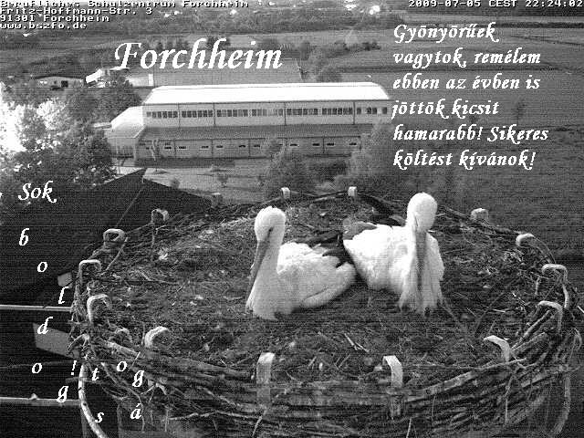 forheheimrégi1.JPG