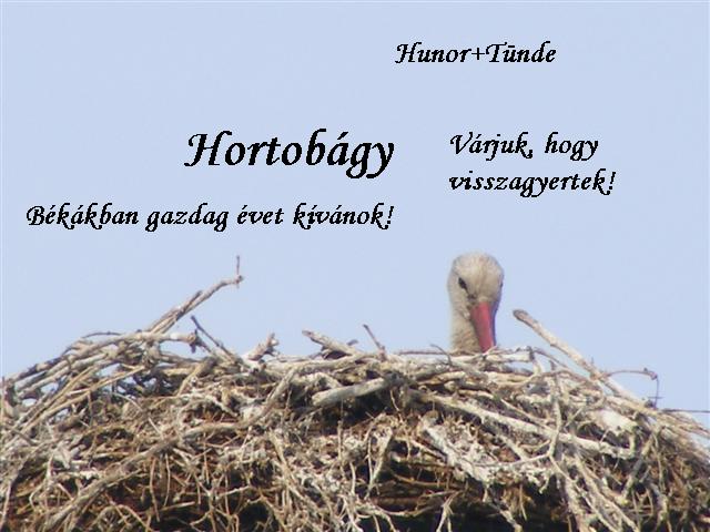 hortobágy1.JPG