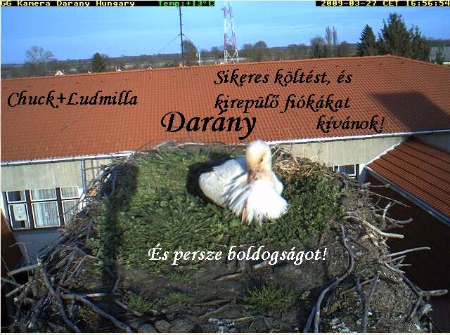 darány1.JPG