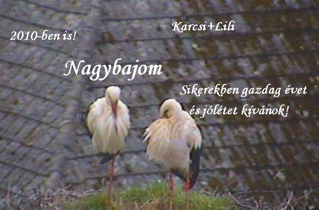 nagybajom1.JPG