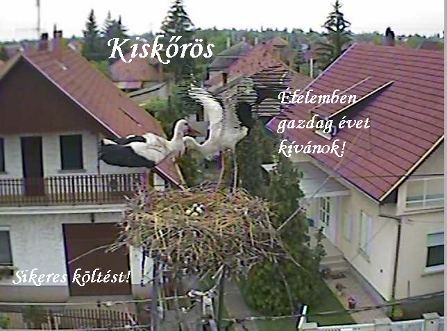 kiskőrös1.PNG