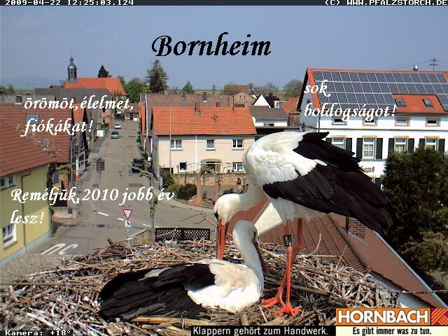 bornheim1.JPG