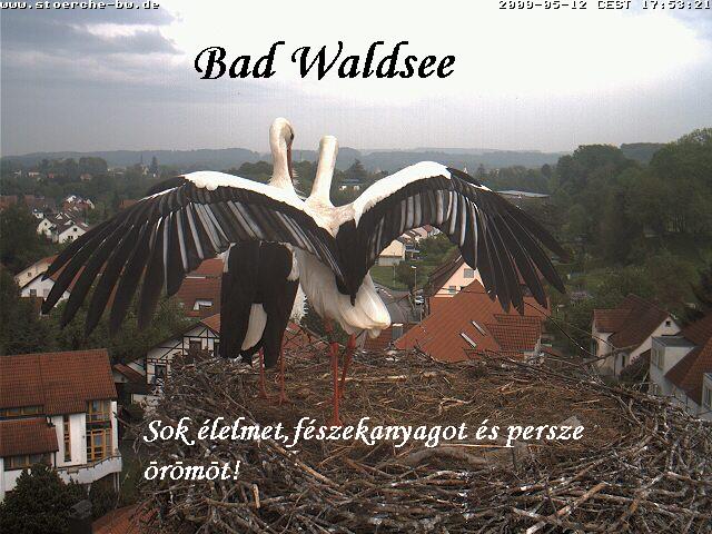 badwaldsee1.JPG