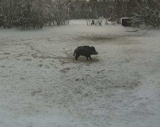 2010-01-29_121657.jpg
