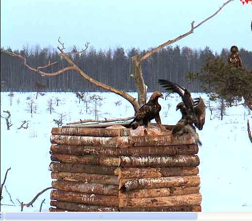 2010-01-29_163025.jpg
