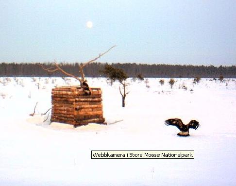 2010-01-29_164438.jpg