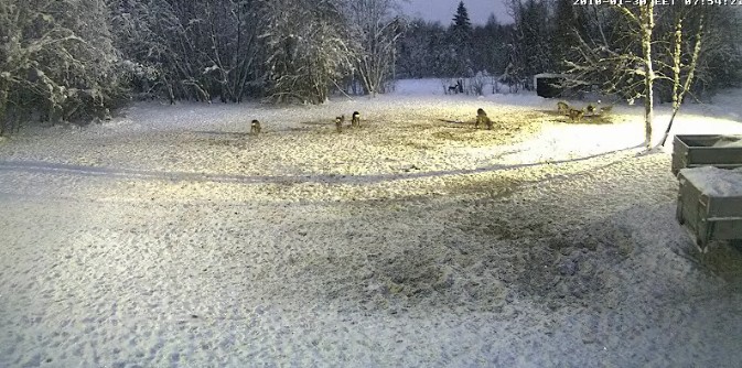 2010-01-30_065905.jpg
