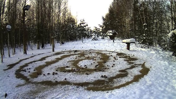 2010-01-30_115429.jpg