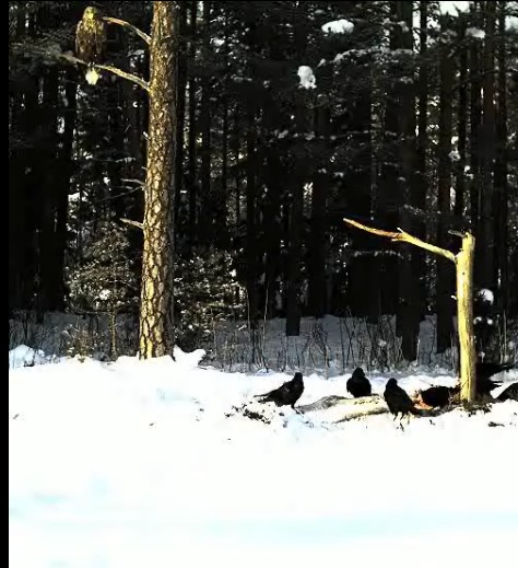 2010-01-30_120914.jpg