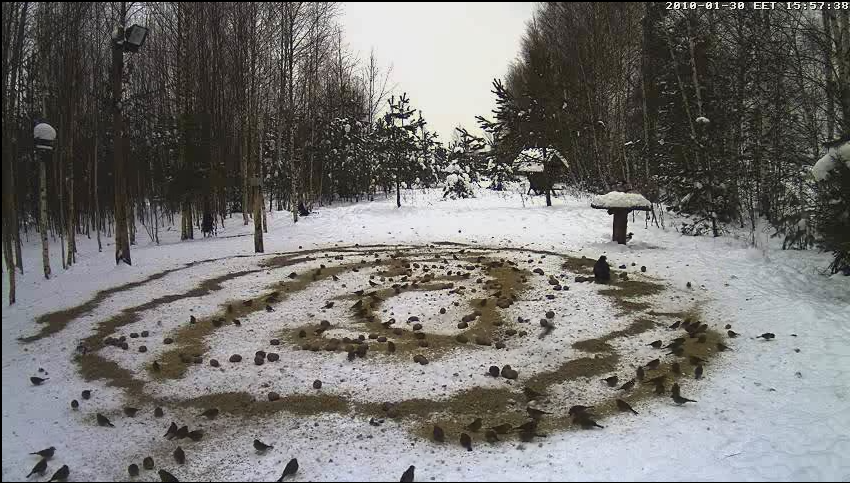 2010-01-30_145851.png