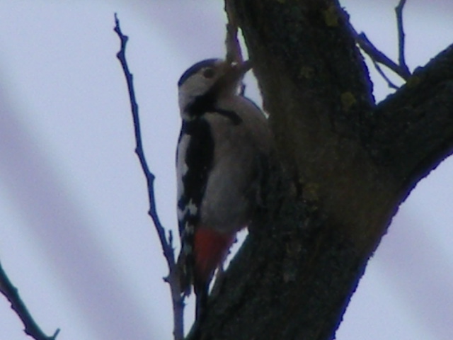 DSCF8722.JPG