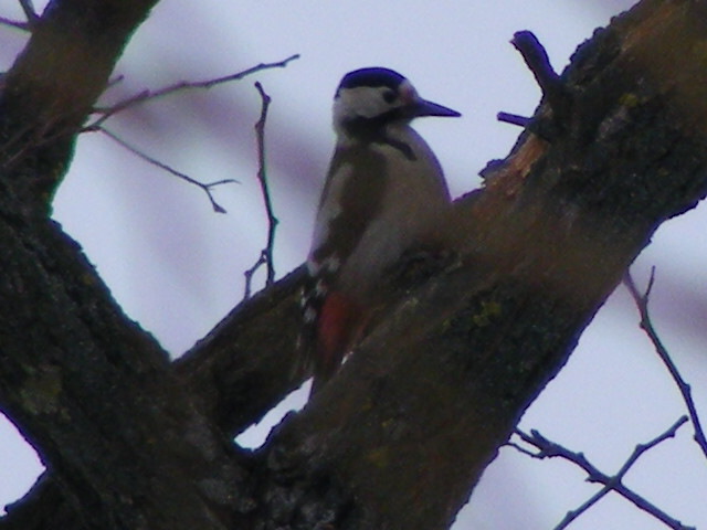 DSCF8724.JPG