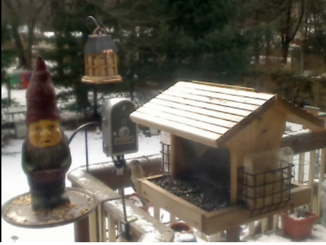 2010-01-30_175011.png