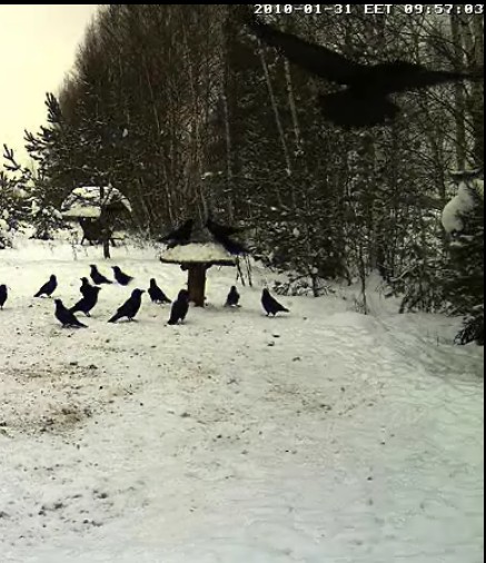 2010-01-31_085913.jpg
