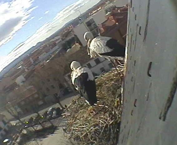 2010-01-31_122316.jpg