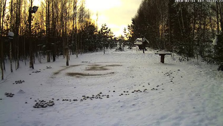 2010-01-31_153925.jpg