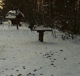 2010-01-31_155235.jpg