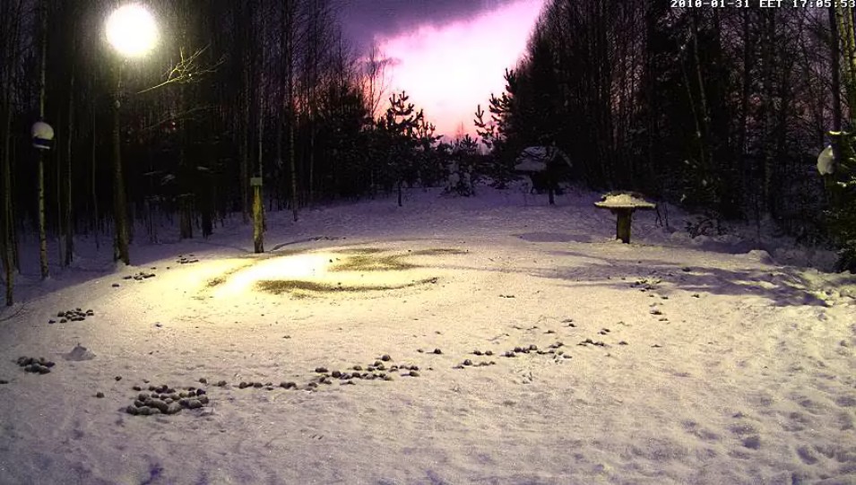 2010-01-31_160757.jpg