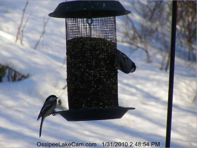 2010-01-31_205005.png