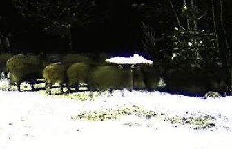2010-01-31_211943.jpg