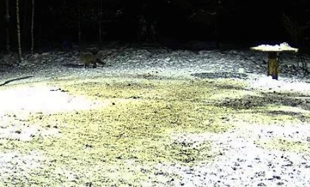 2010-01-31_212408.jpg