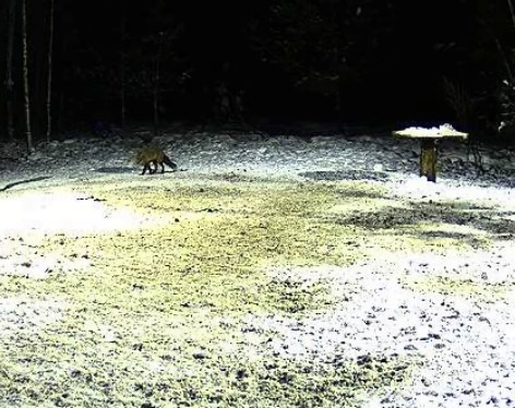 2010-01-31_212422.jpg