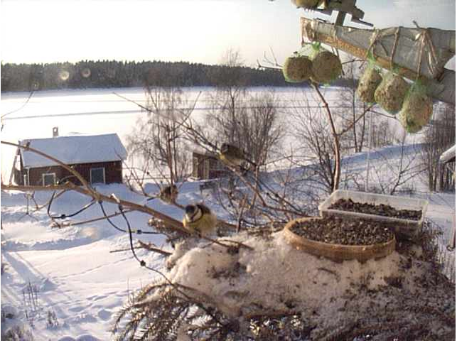 2010-02-01_124553.png