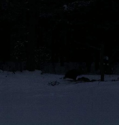 2010-02-02_164127.jpg
