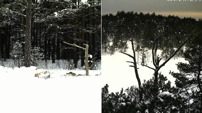 2010-02-03_073208.jpg