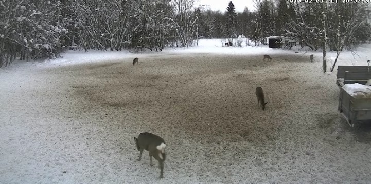 2010-02-03_073551.jpg